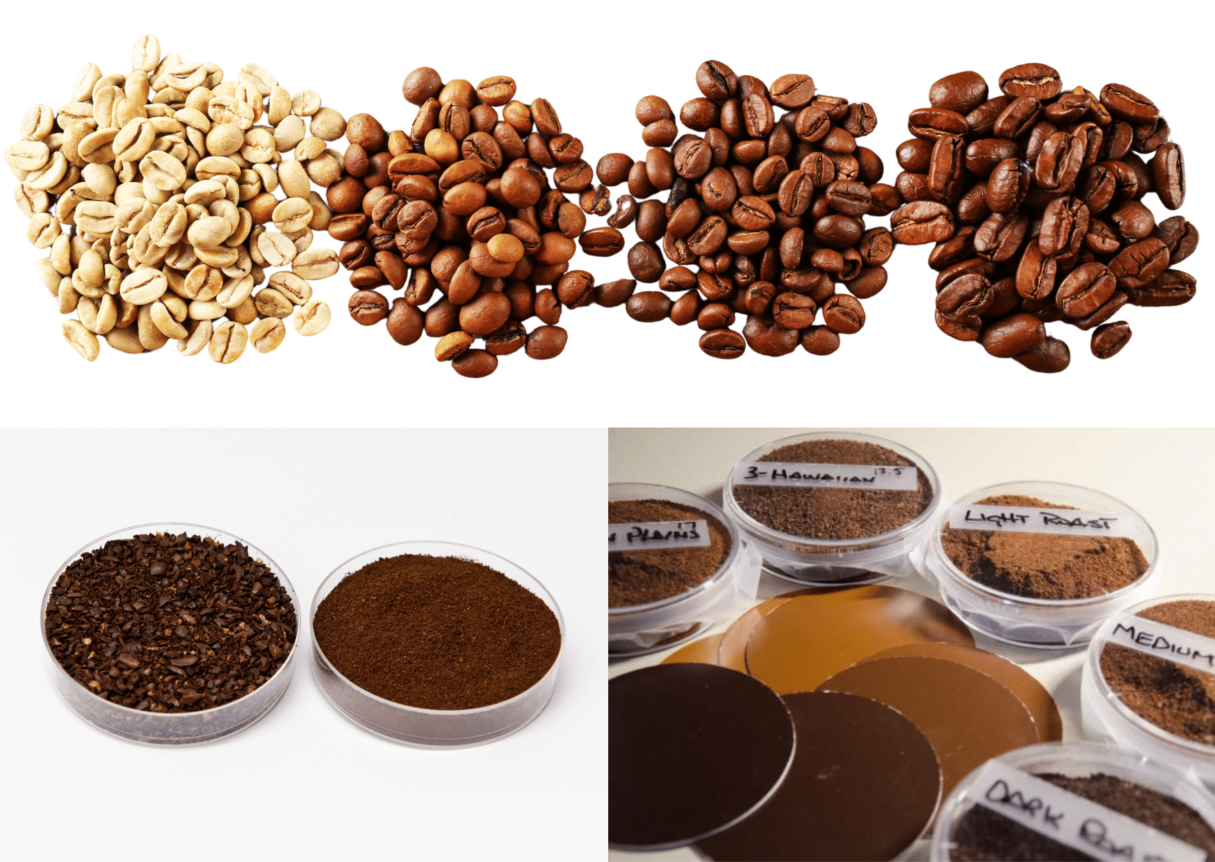 Different coffee samples in different colours.